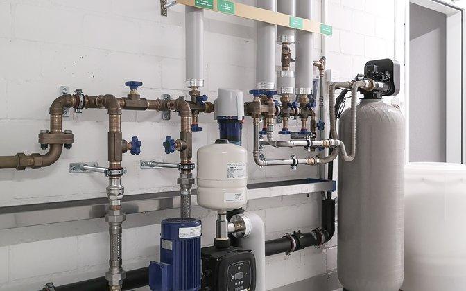 shutterstock_2344813235