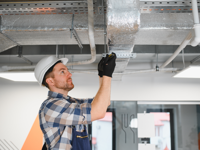 shutterstock_2634134337